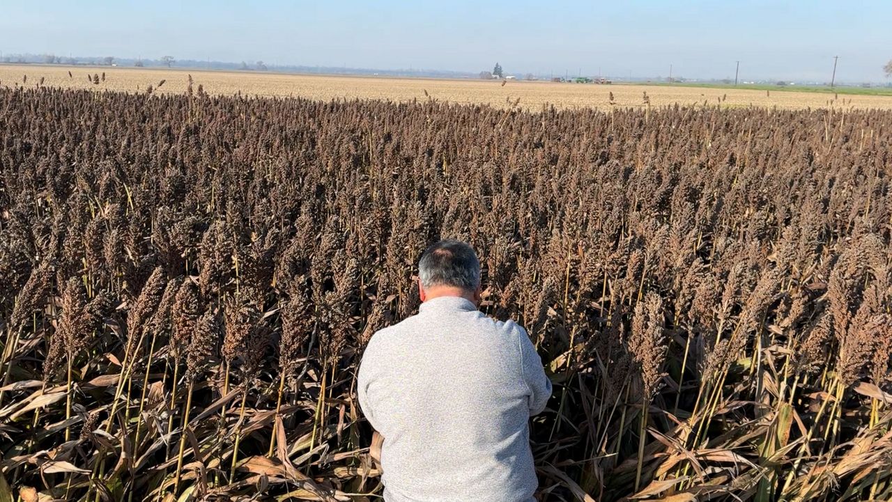 Farmers set to receive $12B farm aid, believe it's a Band-Aid for bigger issues