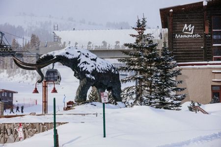 Historic' snow blankets parts of Midwest, disrupts travel