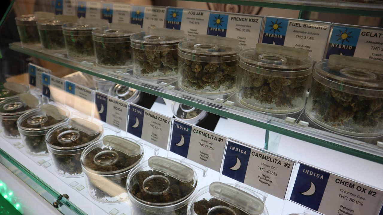 New lawsuit threatens opening of new NY cannabis stores - Vimarsana News