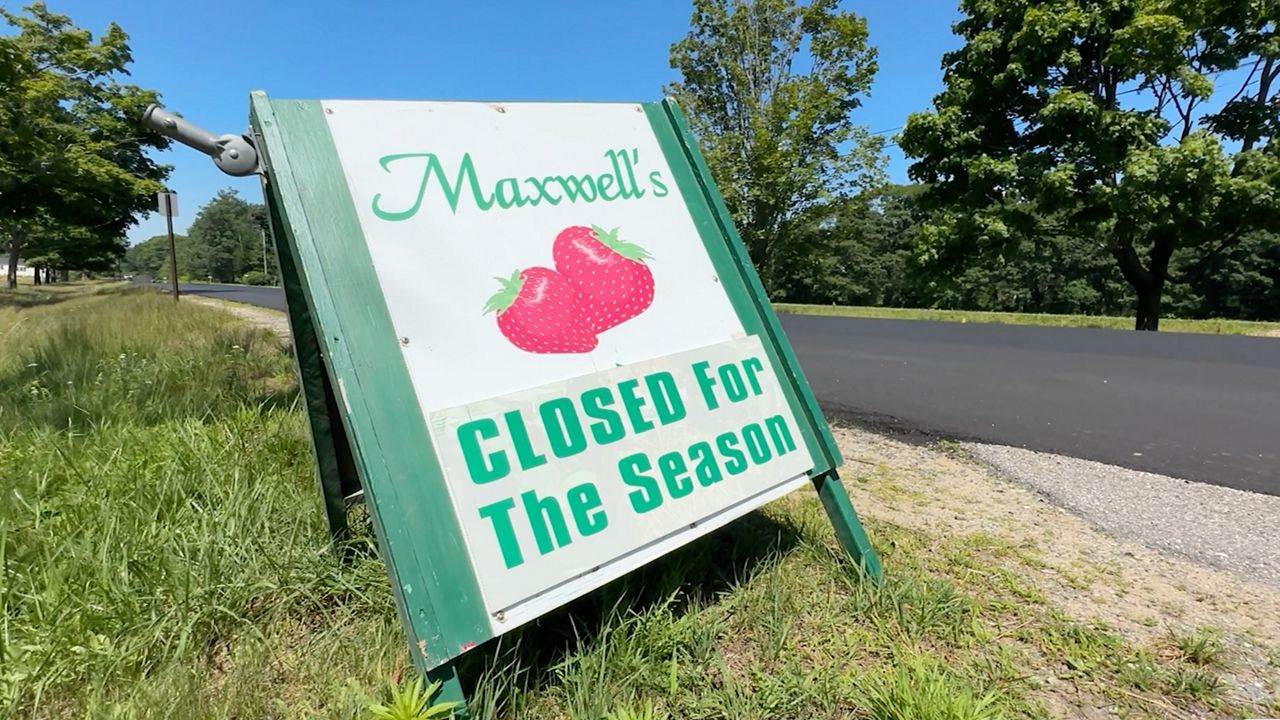 A sign on Route 77 in Cape Elizabeth marking the end of the 2024 strawberry season at Maxwell's Farm. The popular farm, which has been open for the past 50 years, announced on Sunday that it was closing. (Spectrum News/Sean Murphy)