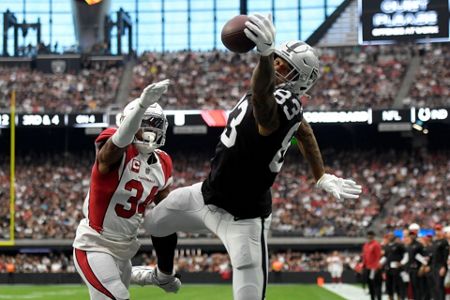 Las Vegas Raiders linebacker Jayon Brown (50) celebrates during the first  half of an NFL football game against the Arizona Cardinals Sunday, Sept.  18, 2022, in Las Vegas. (AP Photo/John Locher Stock