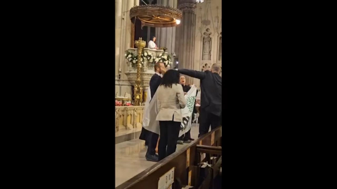 El momento en que arrebatan la pancarta a los manifestantes.