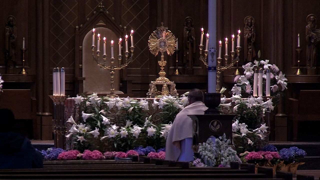 Springfield Catholic Diocese said young people pushing increase in those entering the church