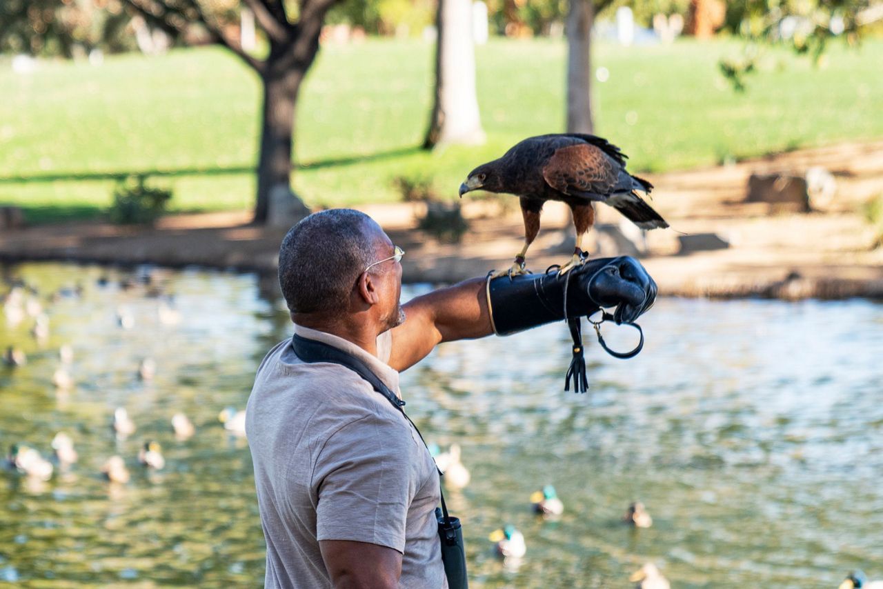 Central Park birder Christian Cooper is turning his viral video fame
