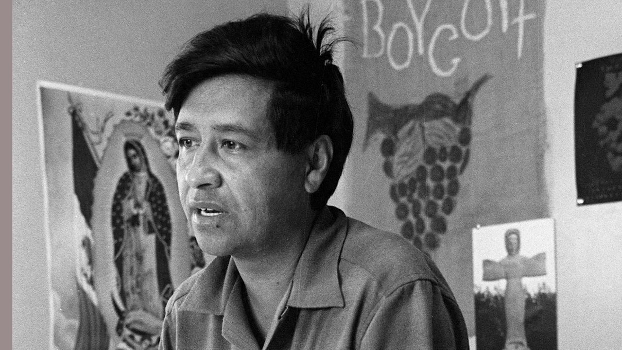 This 1969 file photo shows Cesar Chavez, farm worker labor organizer and leader of the California grape strike, in an office in California works from an office on June 2, 1969. (AP Photo, George Brich)