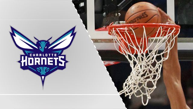 Charlotte Hornets graphic