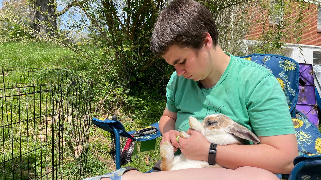 Chelsea Lane clipping a rabbit's nails. (Spectrum News 1/Mason Brighton)