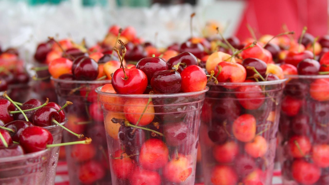The National Cherry Festival is being held for the 99th year in Traverse City, Michigan. Photo courtesy the National Cherry Festival