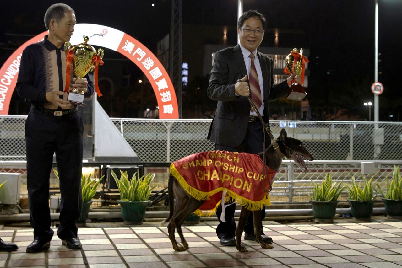 AP PHOTOS: Dog track closure prompts plea for adoptions