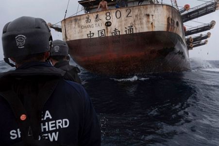 Follow the Lights: Squid Fishing in the Southeast Pacific Ocean - Global  Fishing Watch