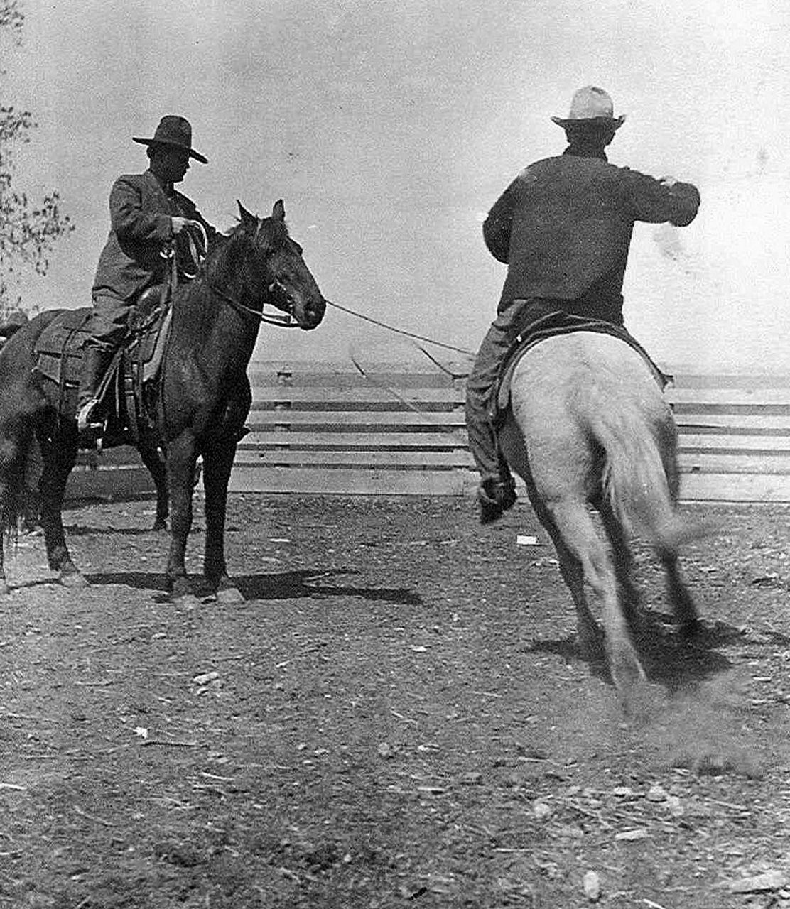 Oklahoma's Choctaw horses connect to Mississippi