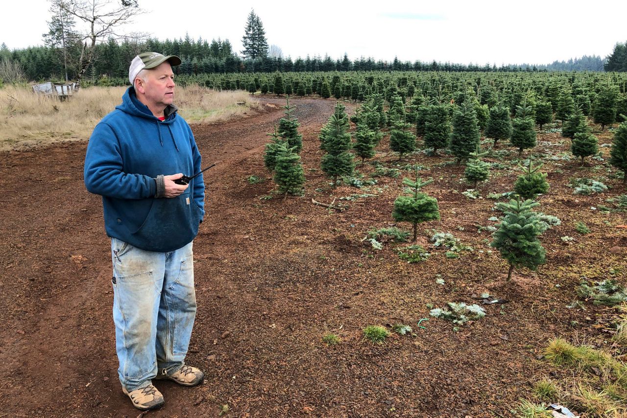 After tragedy, Oregon Christmas tree industry buoyed by bill