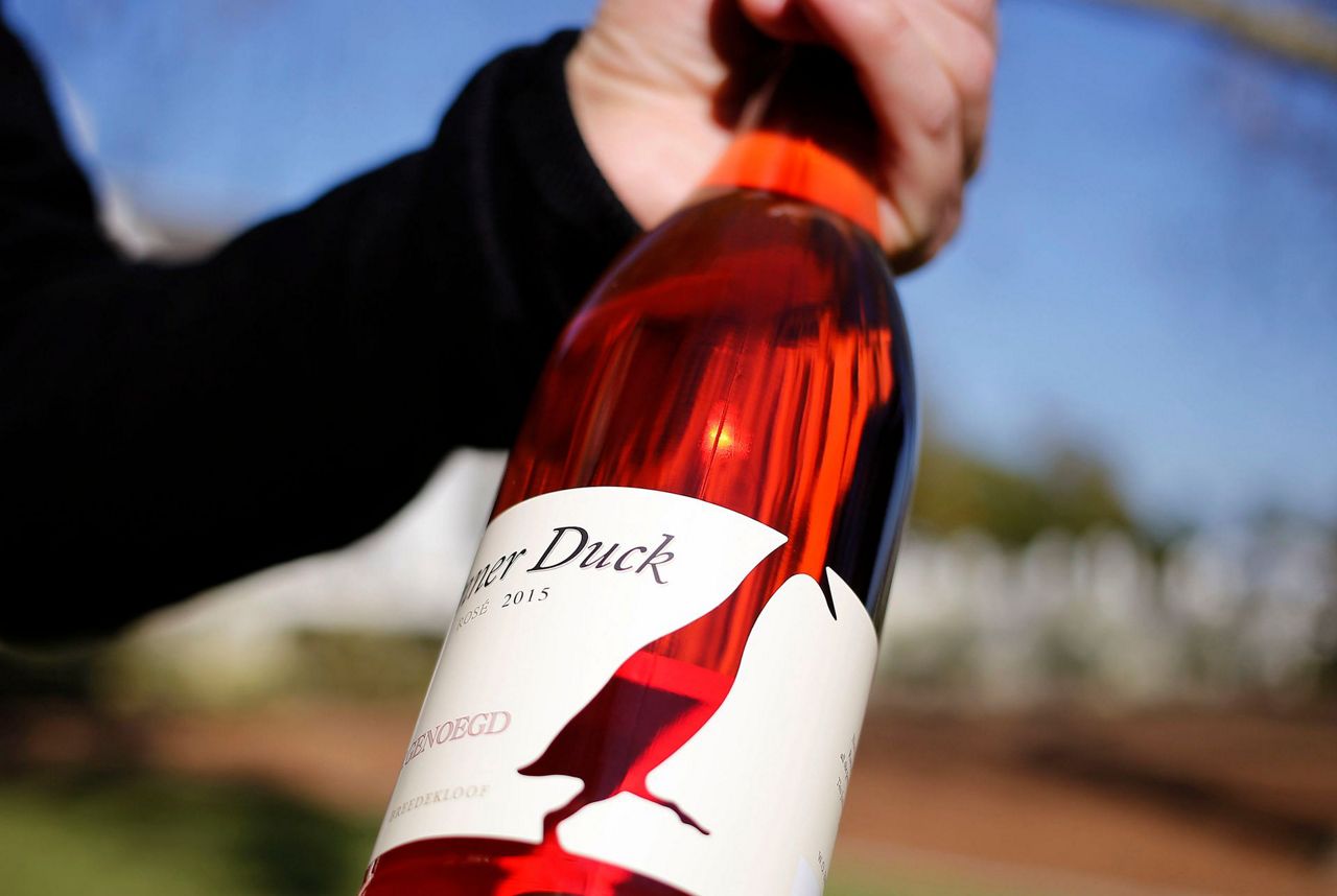 Айц вайн. Вино Duck. Rain Duck Wine. Stanley Estates Wine. Все про Cold Duck вино фото.