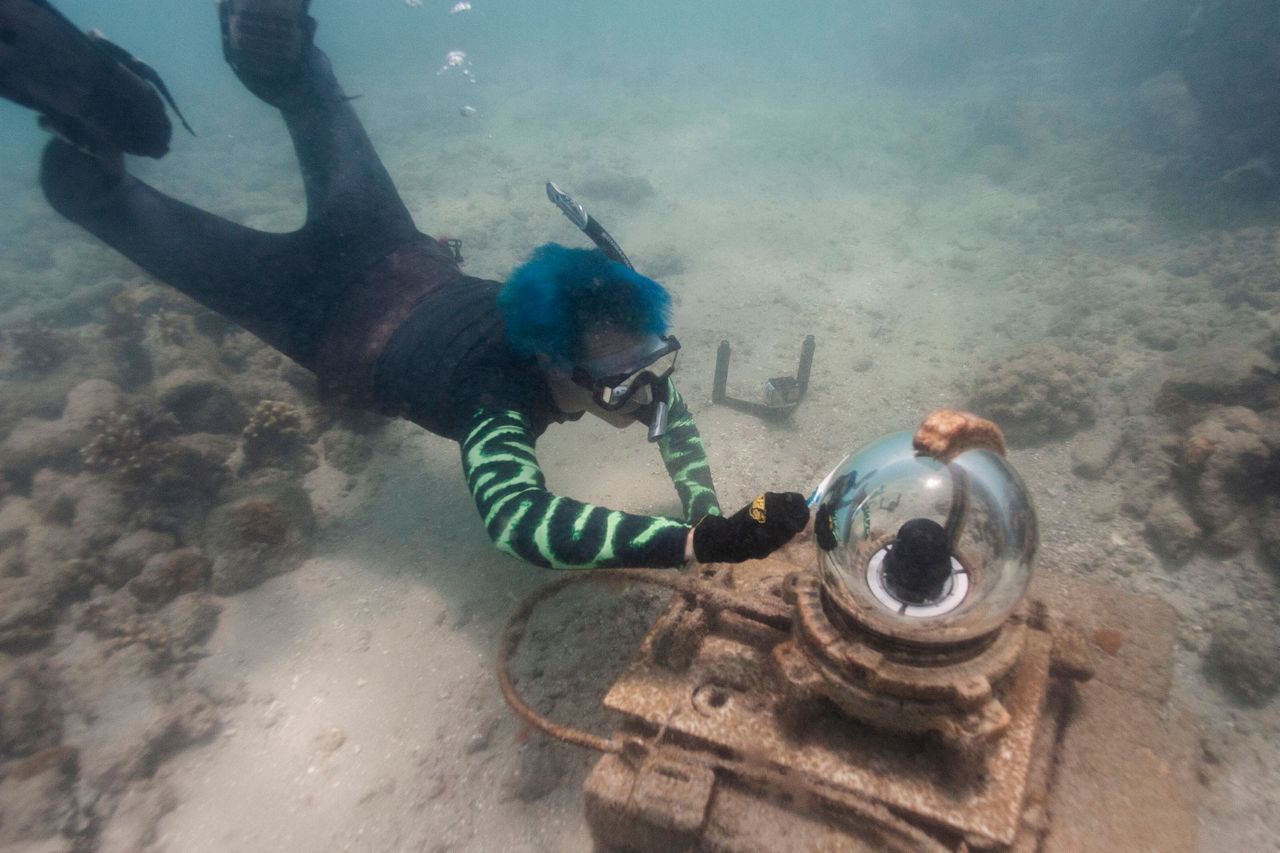 Coral reefs provide stunning images of a world under assault