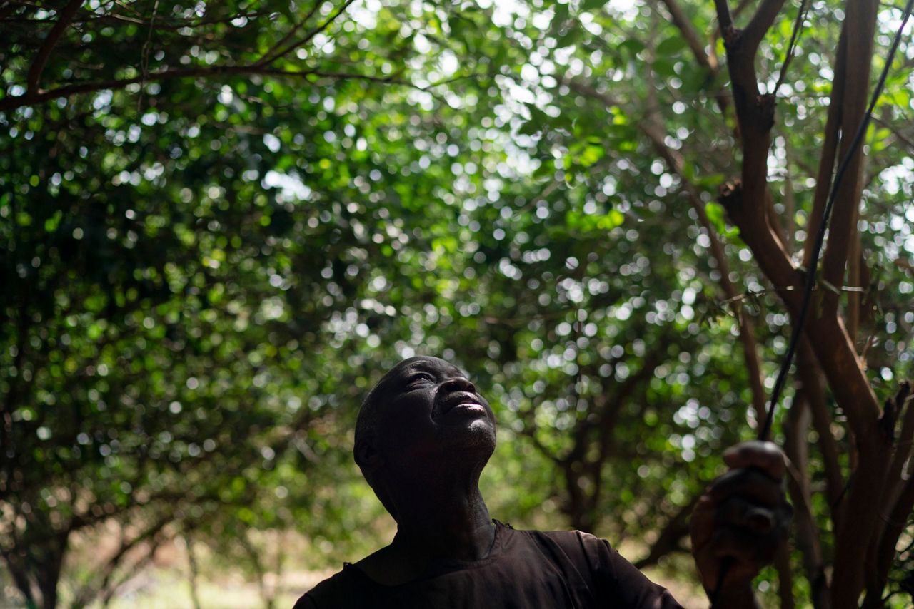 Africa's 'Great Green Wall' shifts focus to hold off desert