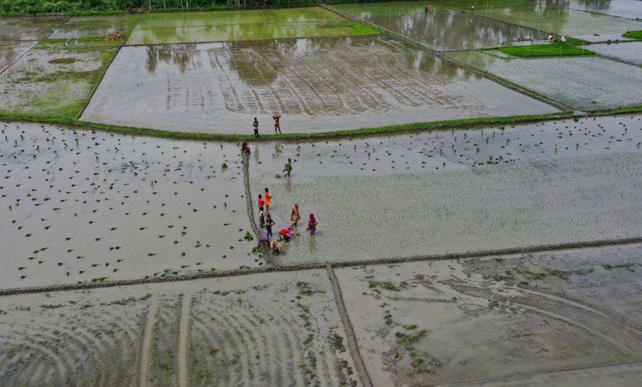 Climate change makes India's monsoons erratic. Can farmers still find a ...