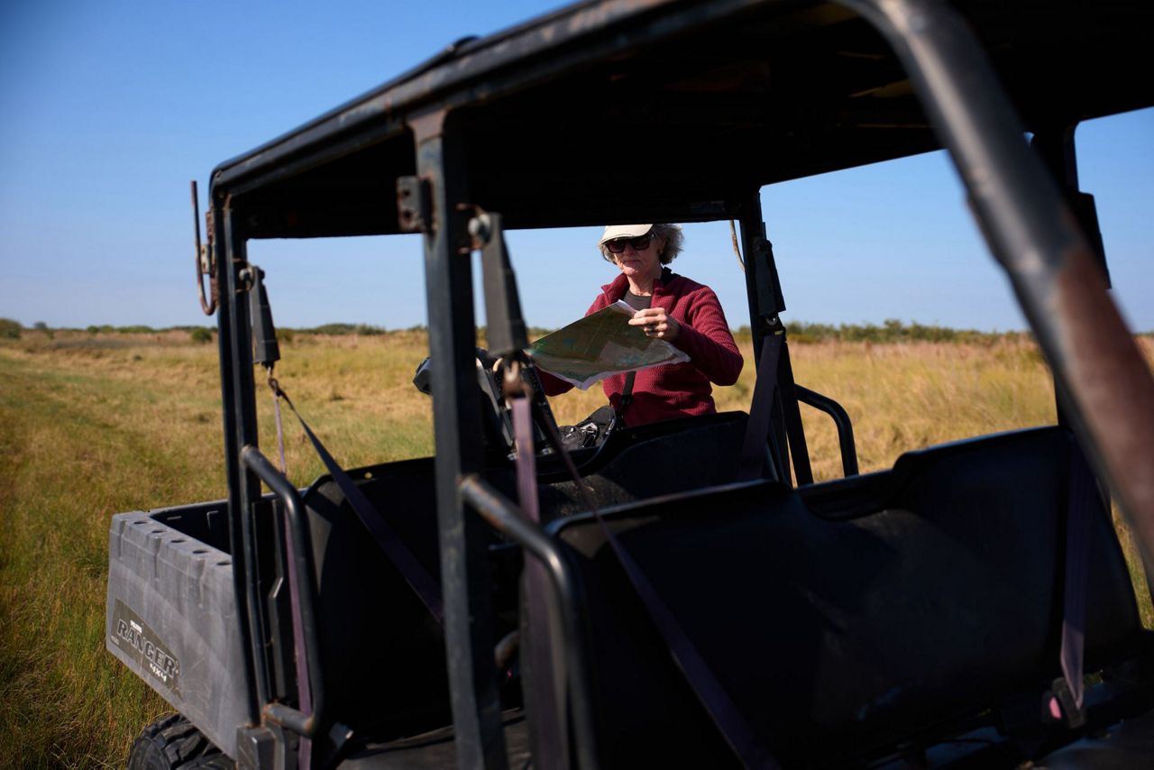 Along the Texas Coast, a new sanctuary aims to protect the endangered ...