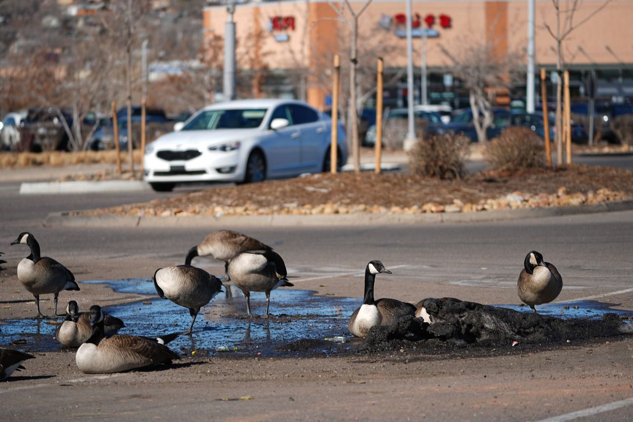 Record snow drought in Western US raises concern for a spring of water ...