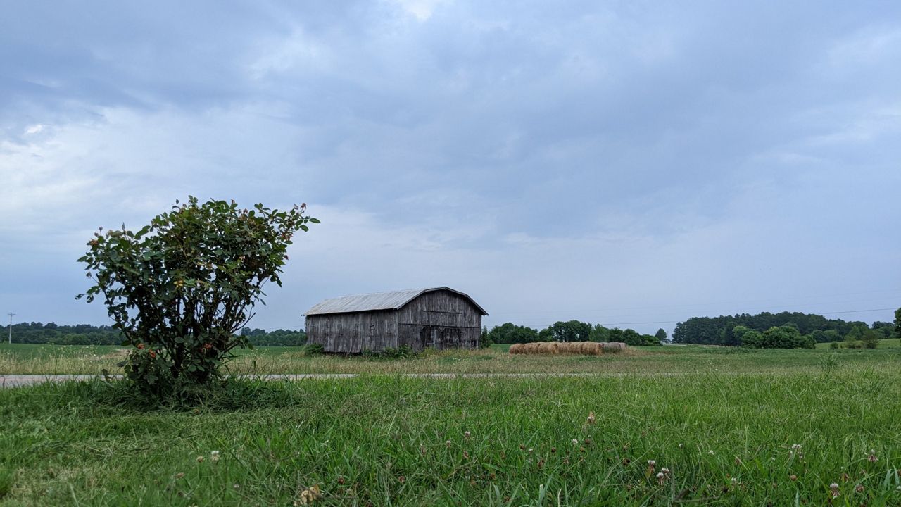 NY Democats call for small farm suspension from OT reduction - Vimarsana News