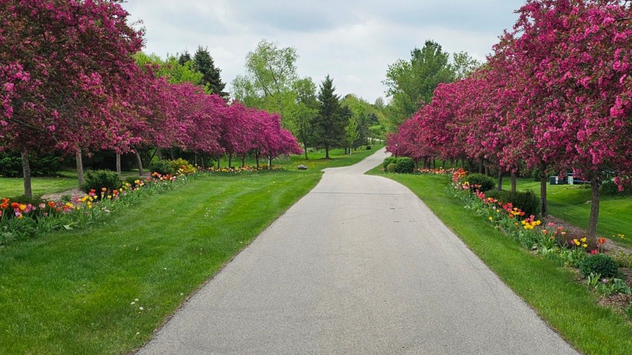 Spring