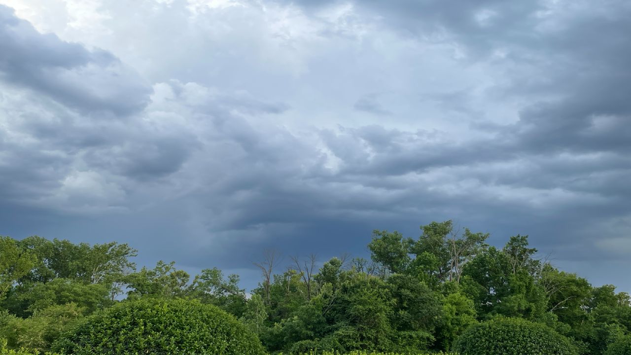 national forecast