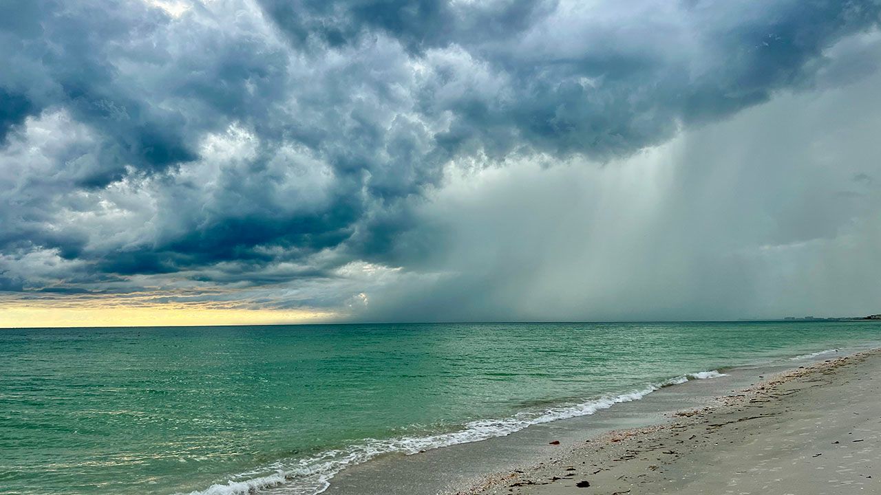 Rain in tampa