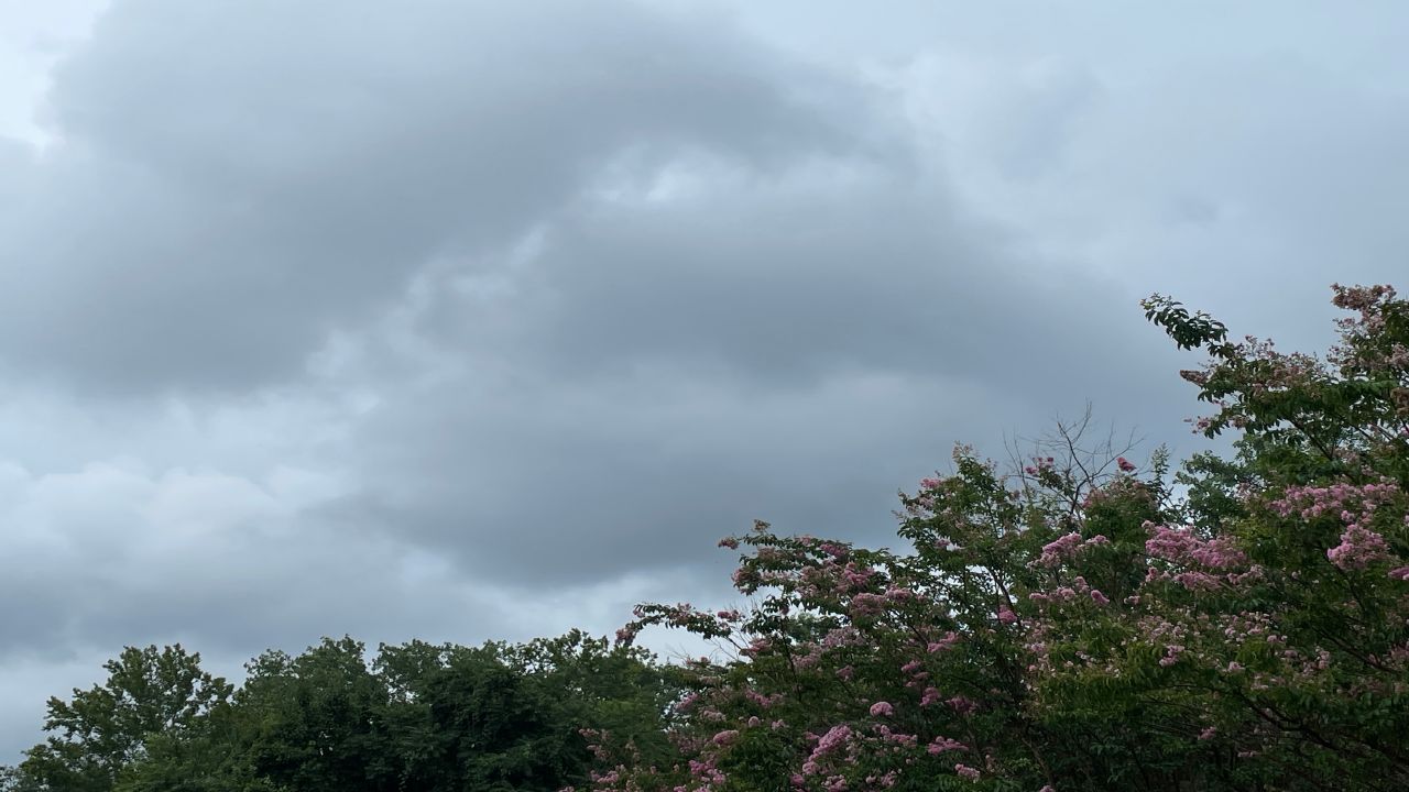 Worcester weather