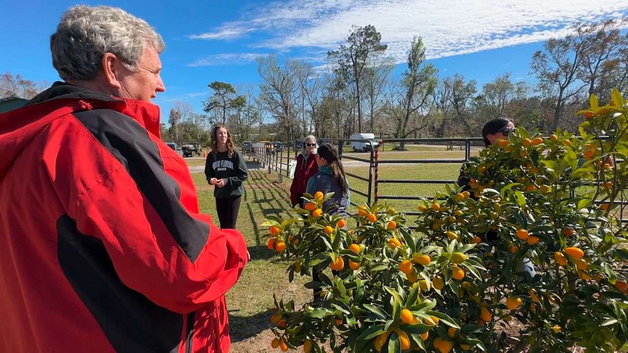 Dade City ready to celebrate 28th annual Kumquat Festival