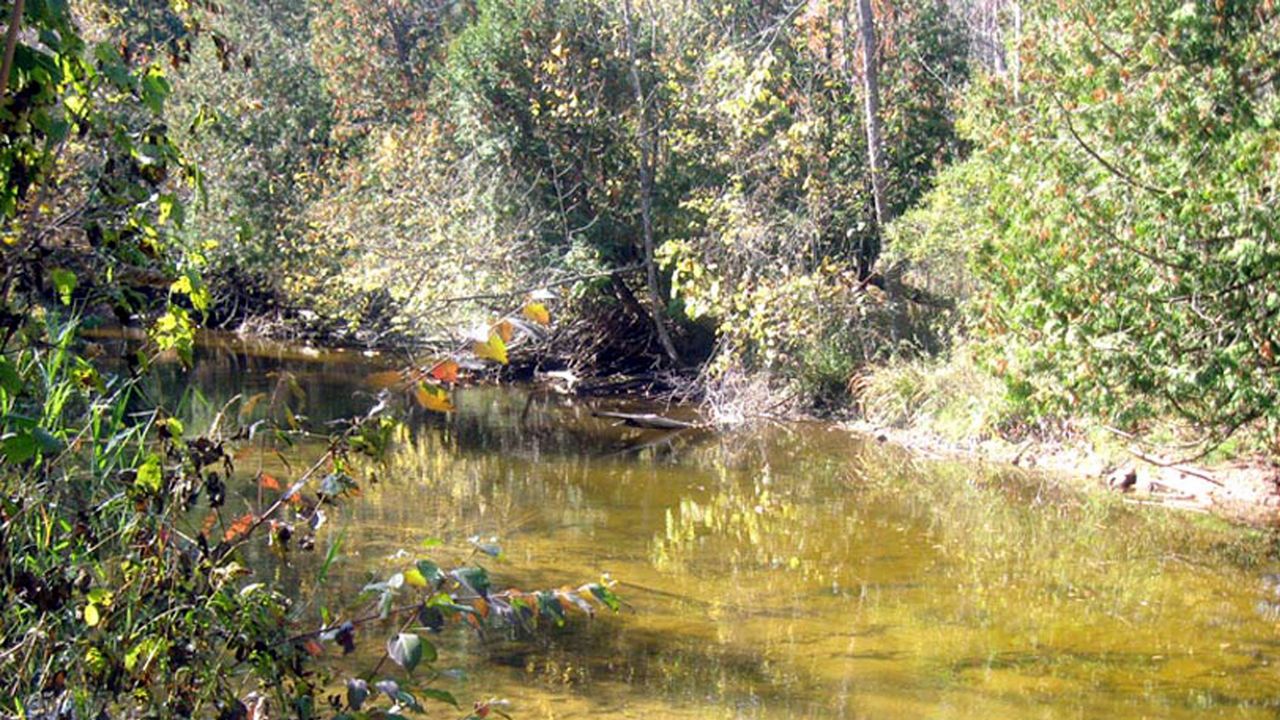 Cleanup efforts along Coldwater Creek continue