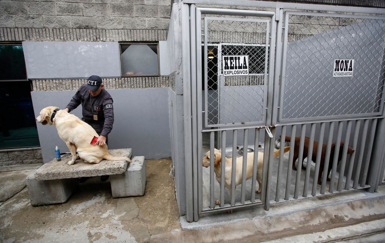 Colombia police retire police dogs in emotional ceremony