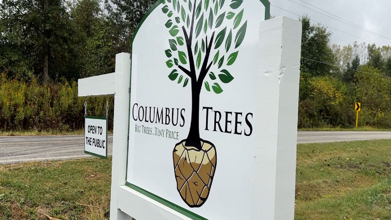 Drought forces tree business to adapt