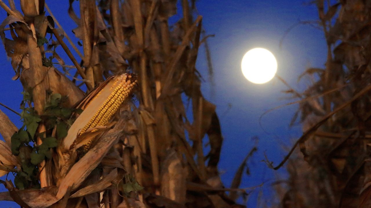 The Full Harvest Moon joins a trio of