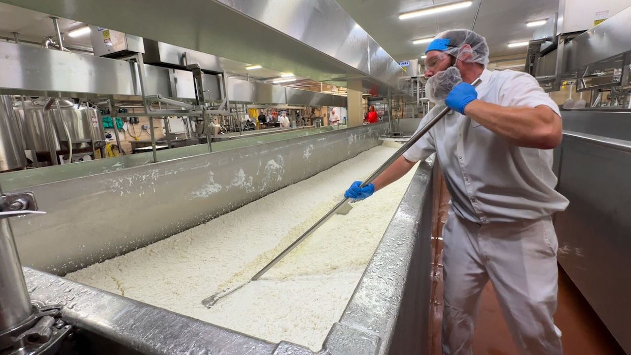Wisconsin dairy plants adjust to cottage cheese demand