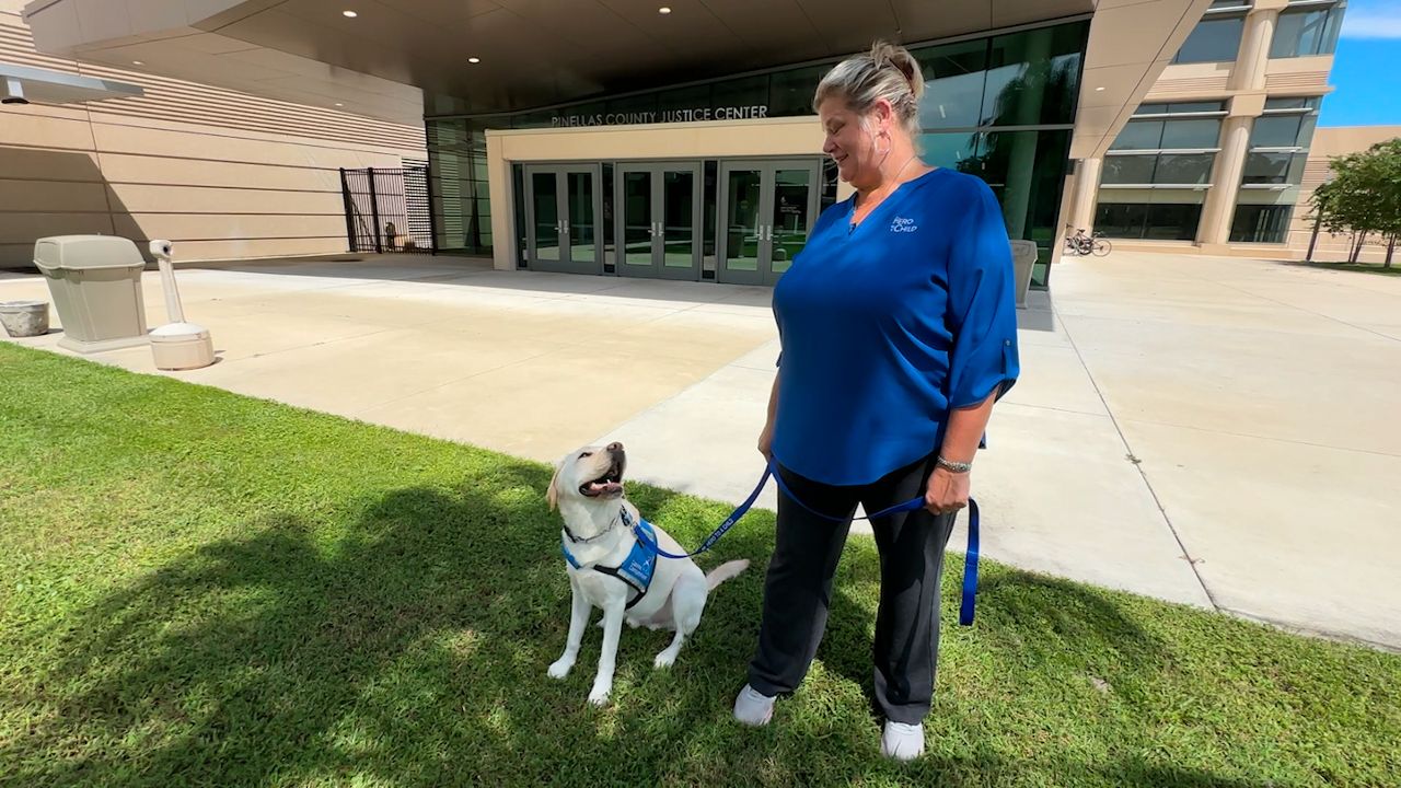 First courthouse facility dog for Circuit 6 offers comfort