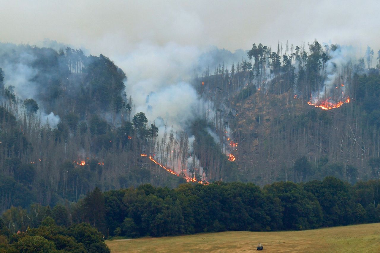 Hundreds of firefighters battle blaze on Czech-German border