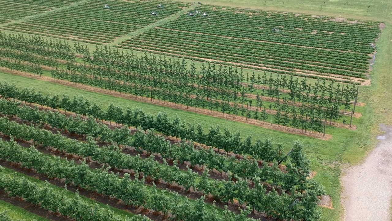 Farmers worry about rising labor costs, shrinking pool of workers