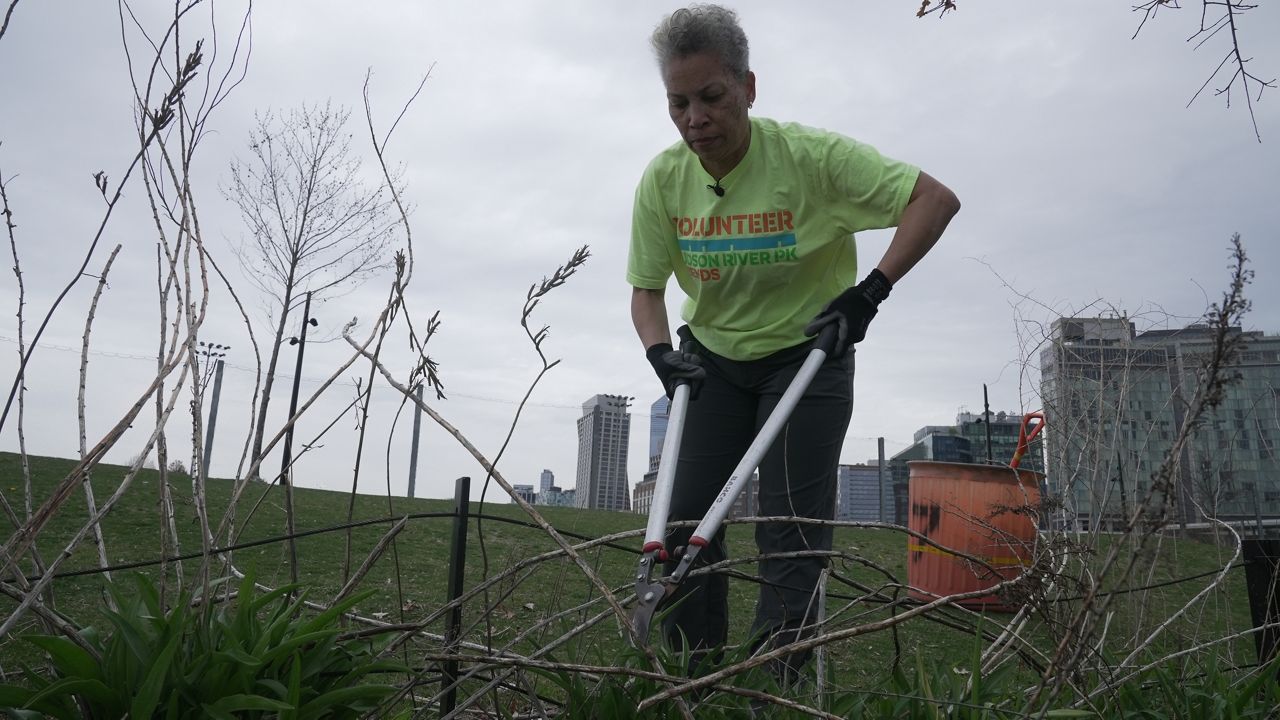 Maki Thomas Livesay: An appreciation for her local park