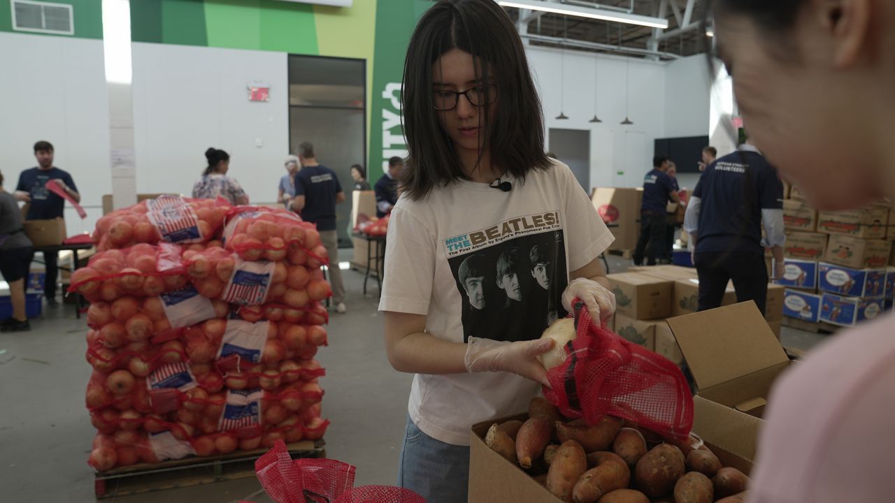 Hayley Geoghegan: A harvest helper