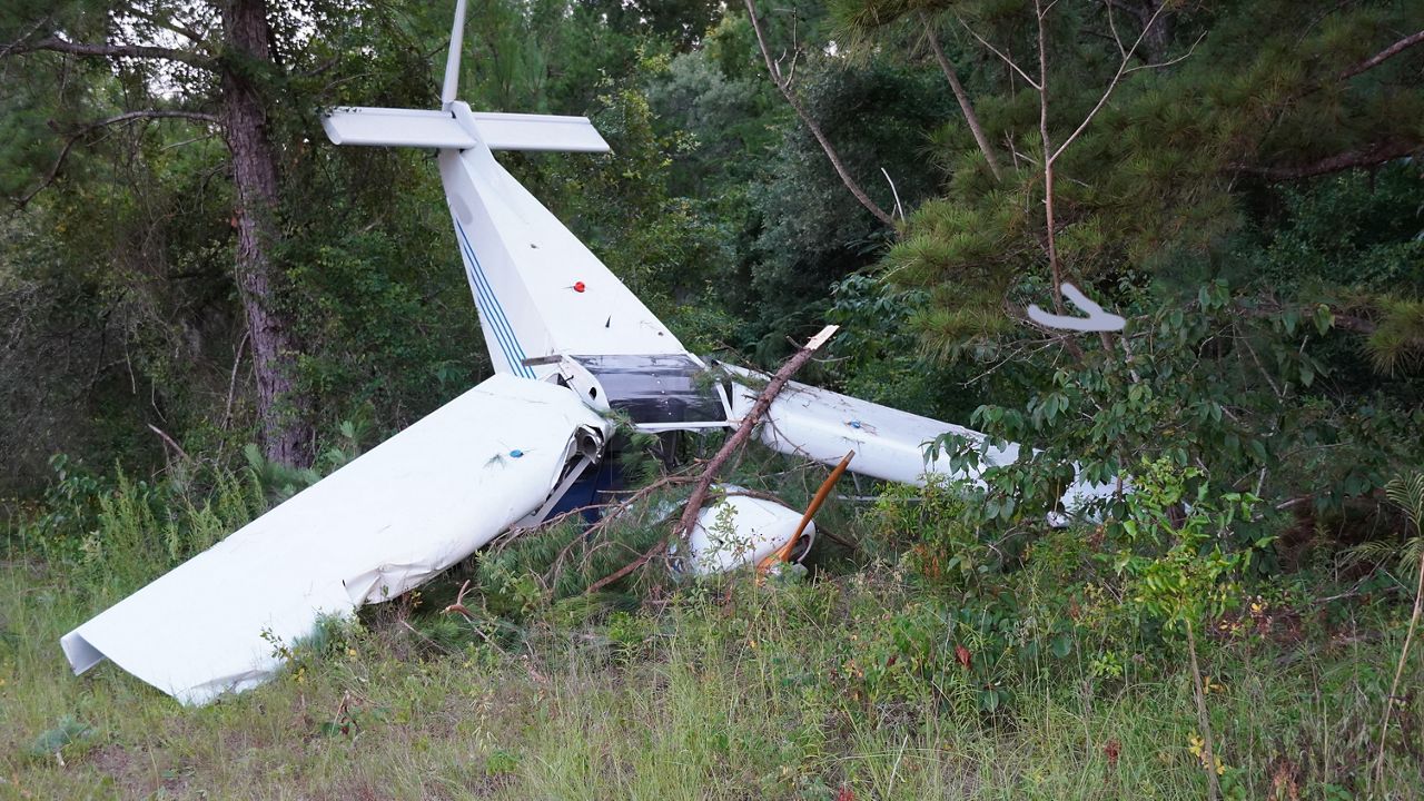 A small plane crashed into a line of trees outside Ocala International Airport. (Ocala Fire Rescue)