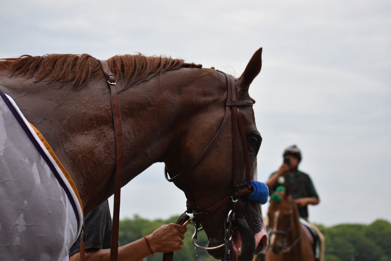 Belmont Stakes Justify Triple Crown Mike Smith