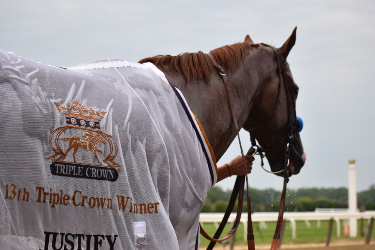 Belmont Stakes Justify Triple Crown Mike Smith