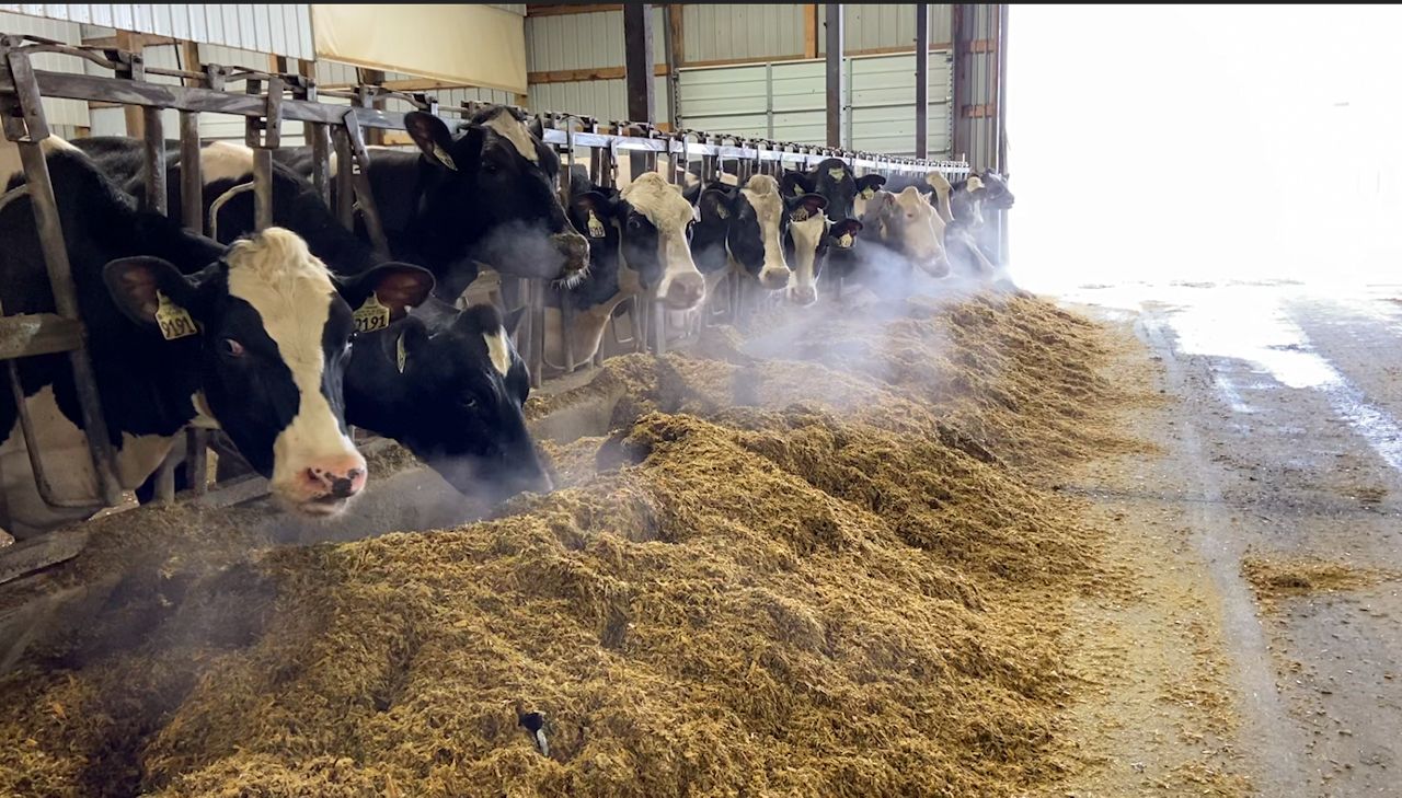 In Focus: Wisconsin’s dairy industry seeks rebound