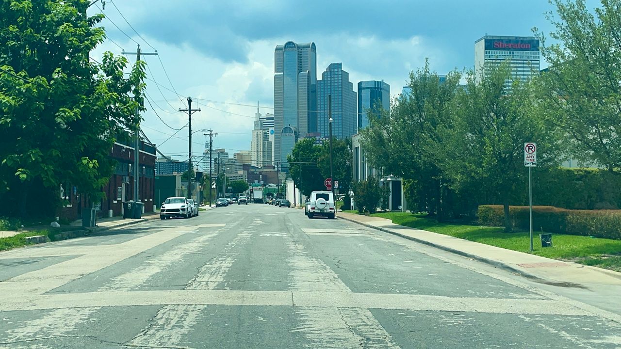 Dallas unveils its first Urban Forest Master Plan