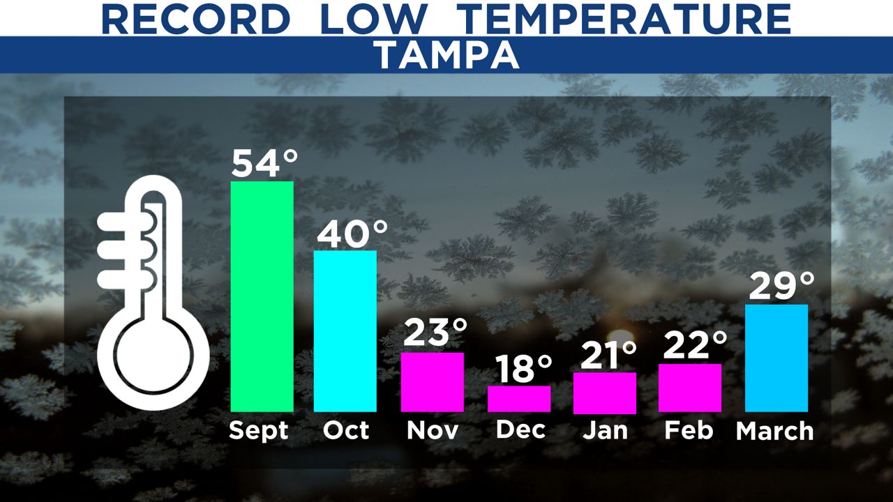 Weather in Tampa FL December Insights