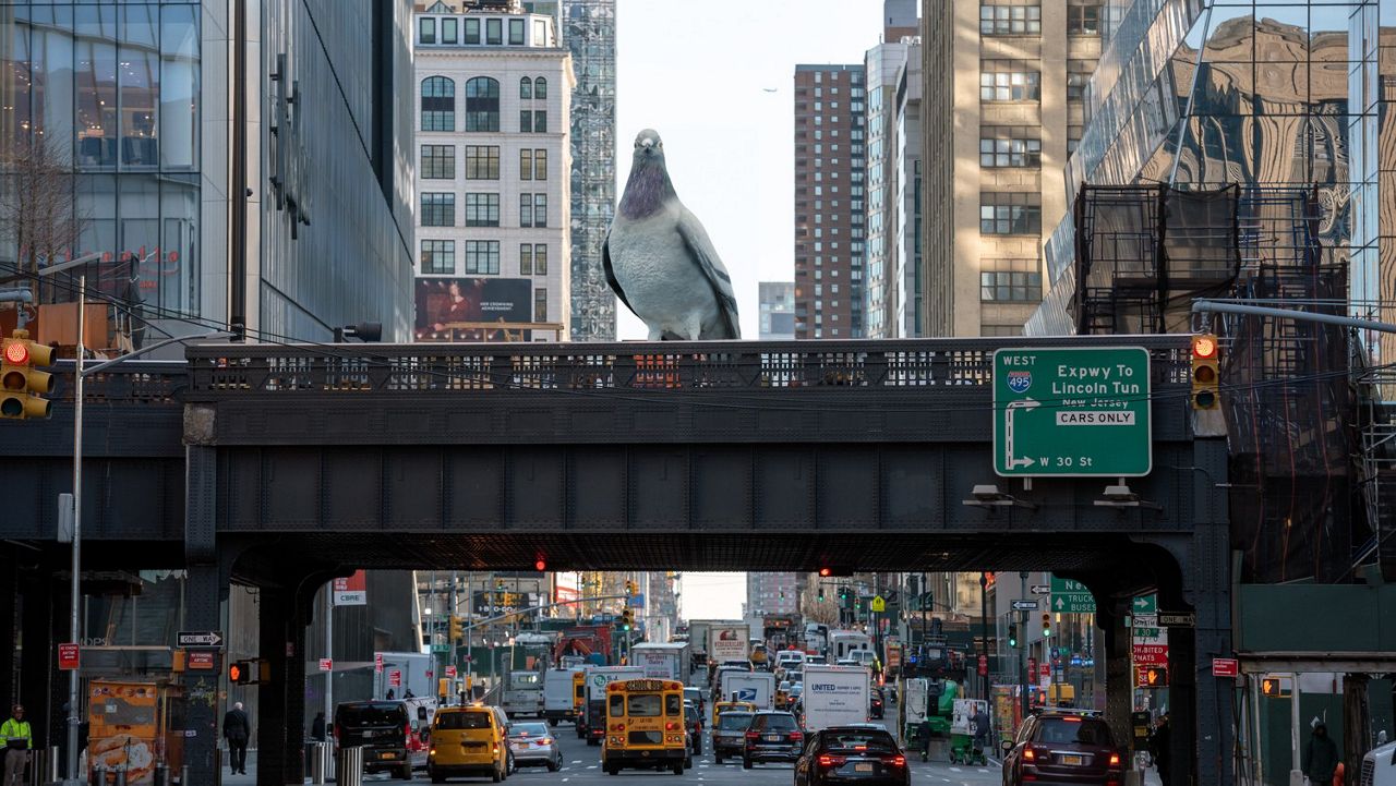 Dinosaur pigeon 