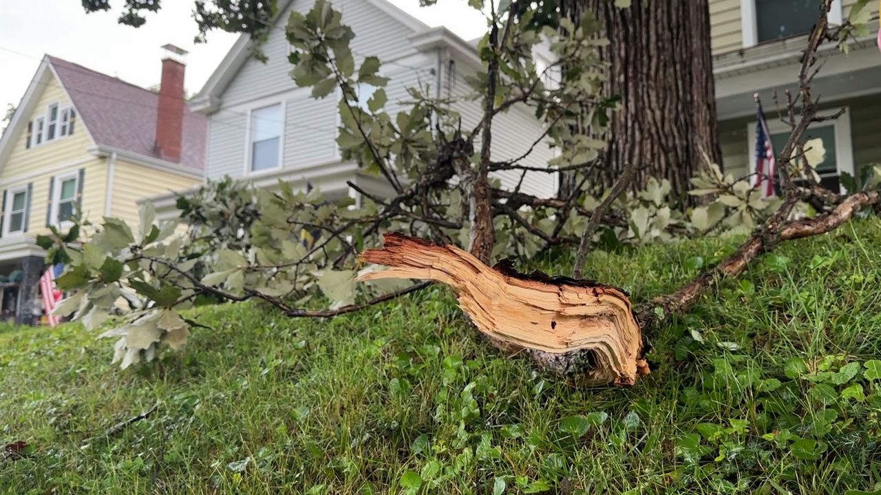 How to document storm damage
