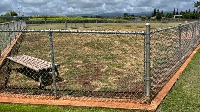 The Patsy T. Mink Central Oahu Regional Park's dog park in Waipahu after the grass was vandalized. (Photo courtesy of the Honolulu Department of Parks and Recreation)