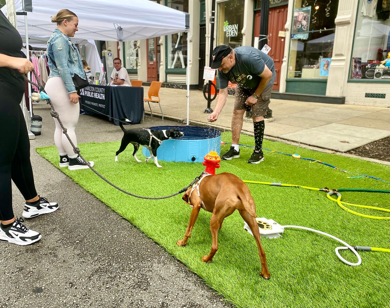 Second Sunday on Main includes musical acts, artists, food and other forms of entertainment. There's even a space for dogs. (Spectrum News 1/Casey Weldon)