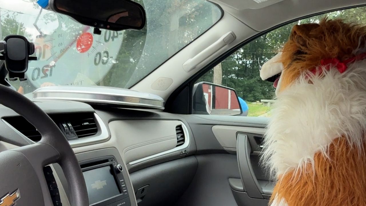 A stuffed dog sitting in an Animal Rescue League of Boston vehicle during Monday's demonstration. (Spectrum News 1/Dan Reidy)