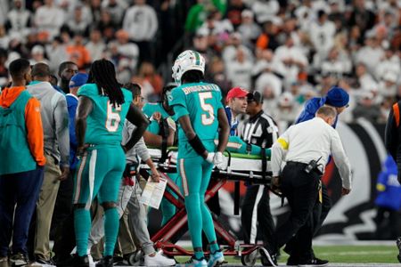 Dolphins take 3-0 record to Cincy to face Bengals
